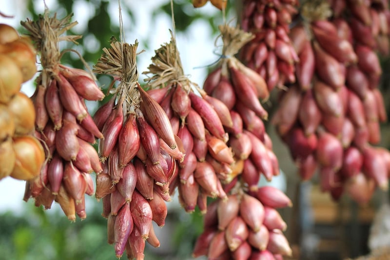 Organic Gardening Supplies