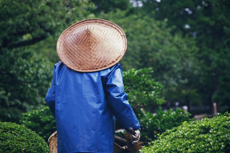 Gardening Troubleshooting