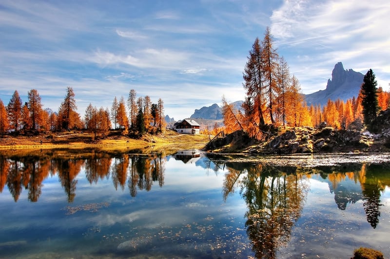 Garden Landscape